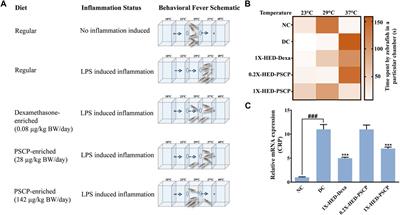 Chyawanprash, An Ancient Indian Ayurvedic Medicinal Food, Regulates Immune Response in Zebrafish Model of Inflammation by Moderating Inflammatory Biomarkers